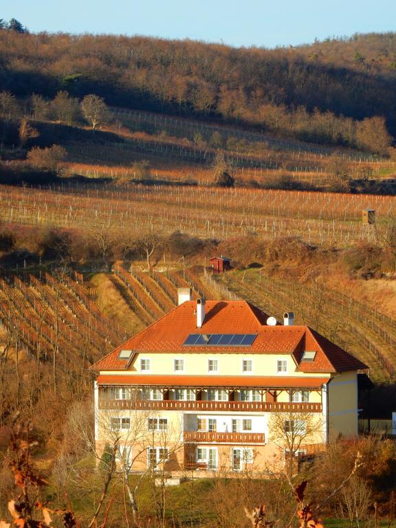 Отель Pension Rudi - Weingut Kellner Pulkau Экстерьер фото